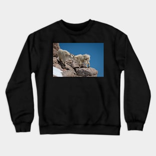 Whisper Crewneck Sweatshirt